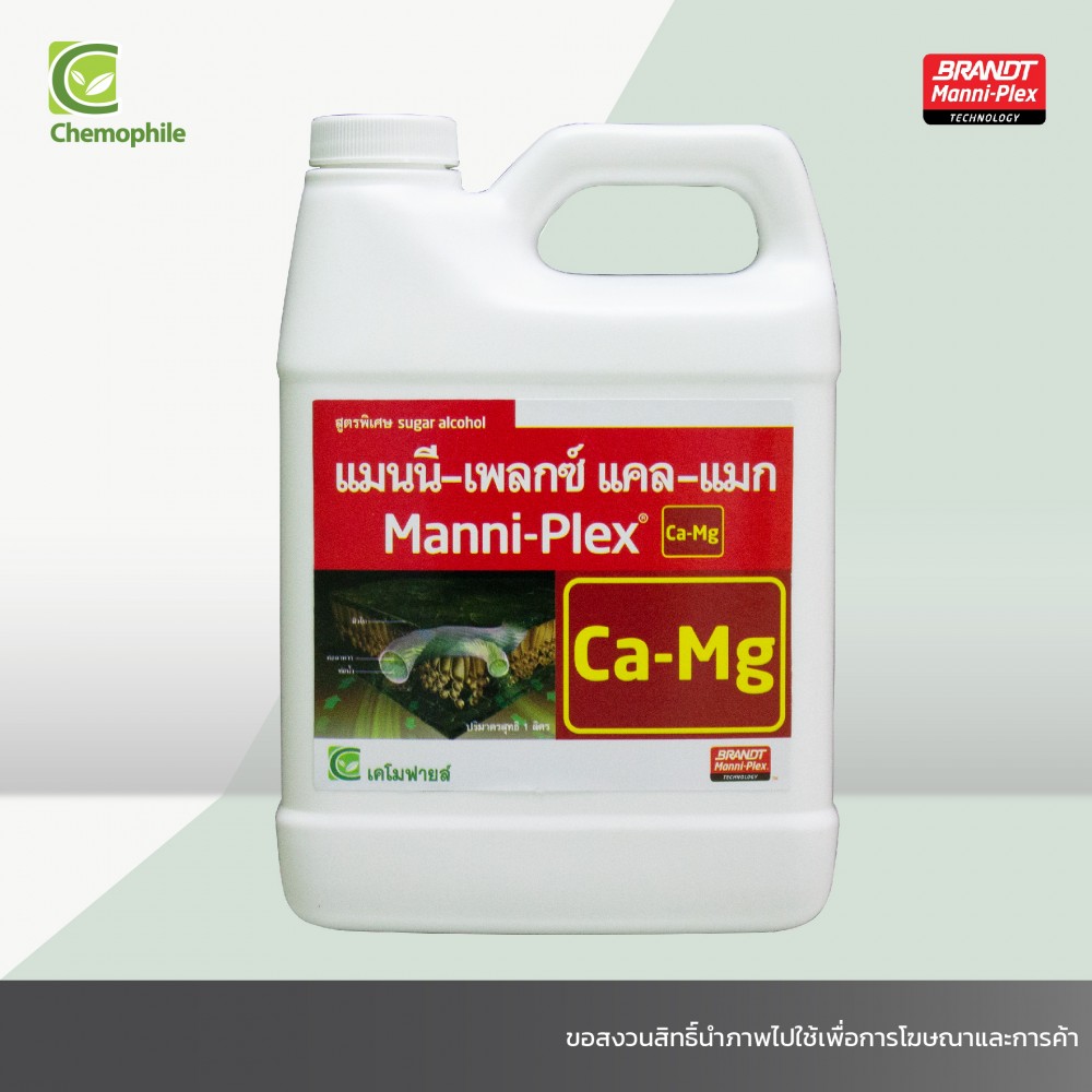 อันดับหนึ่ง 102+ ภาพพื้นหลัง แคตวูแมน (ภาพยนตร์ปี 2004) ความละเอียด 2k, 4k